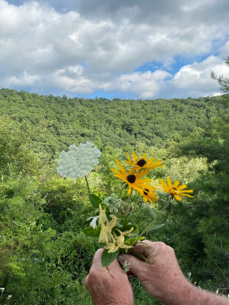 wildflowers in saxton
